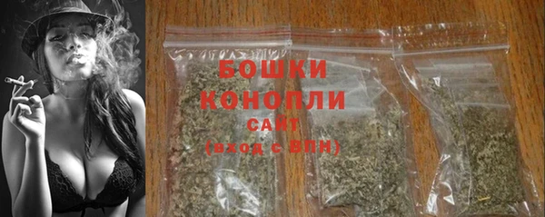 хмурый Богородск