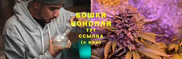 крисы Белоозёрский