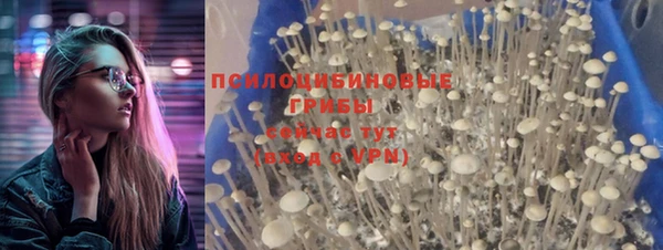 прущая мука Богородицк